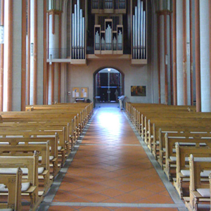 The Future of the Organ